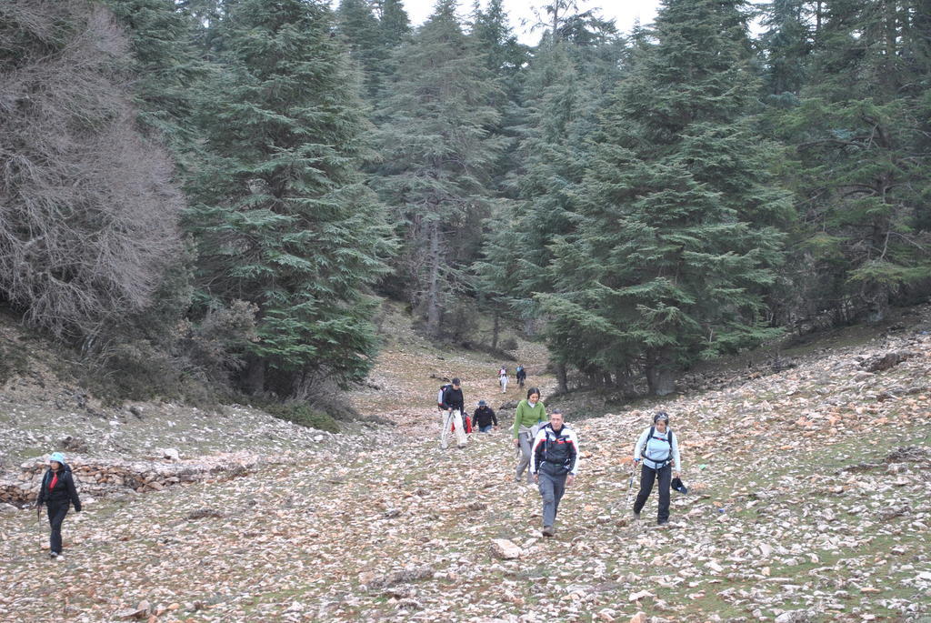Tamanoucht Hotel Ifrane  Luaran gambar